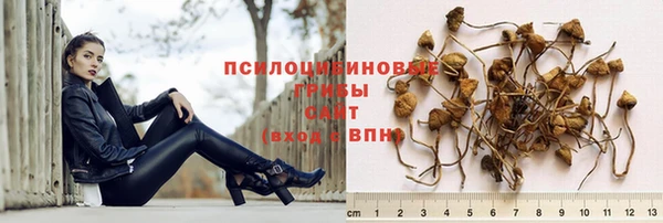 альфа пвп Беломорск