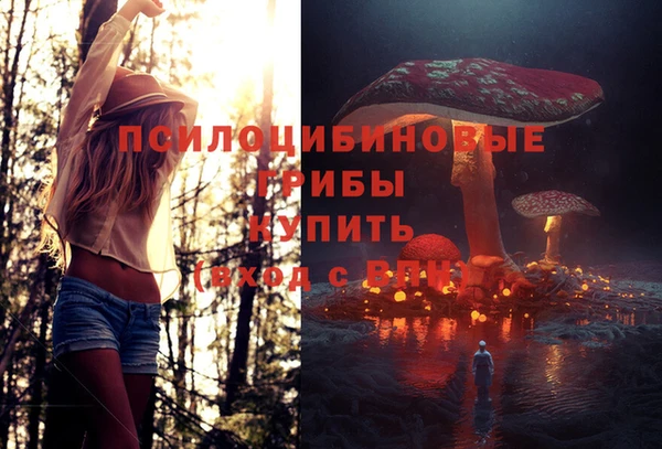 прущий лед Белоозёрский