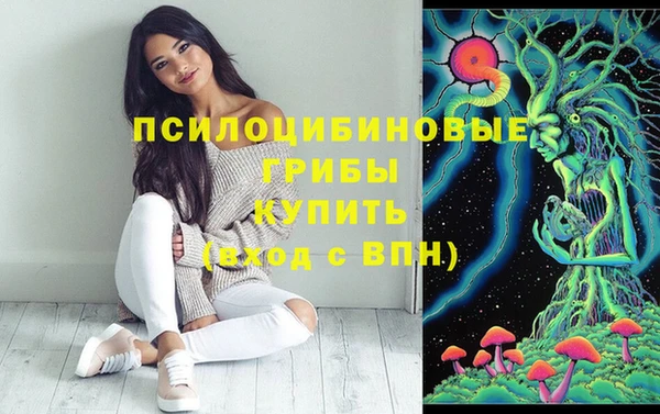прущий лед Белоозёрский